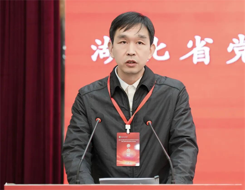 湖北省党的建设研究会民办高校专委会2025年年会召开(图1)